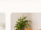 Persimmon and soap