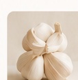 Garlic representing sour or musty odor